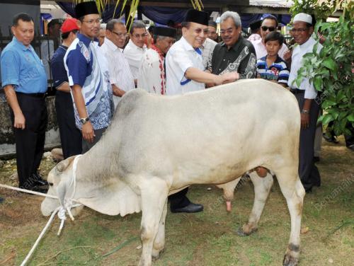 DATUK SERI DR RAIS YATIM