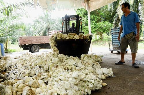 PERINTAH KAWALAN PERGERAKAN BERSYARAT