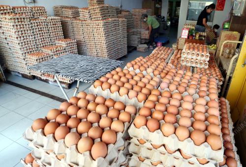 TELUR AYAM