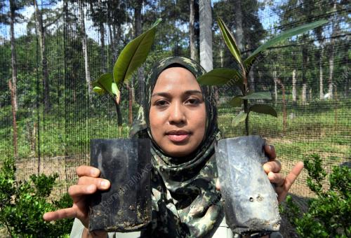 DR FARAH FAZWA MD ARIFF