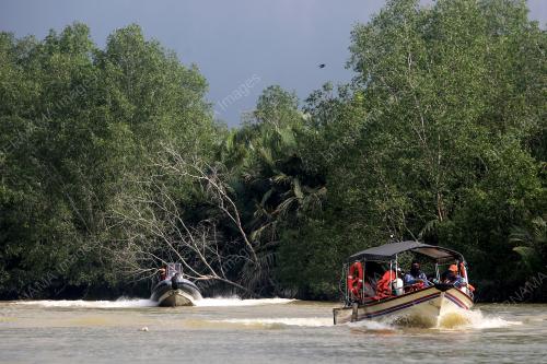 SANTUARI BUAYA TEMBAGA SUNGAI LINGGI