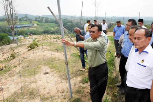 NS02_11082016_SABERI_LADANG