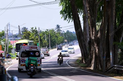POKOK TEDUHAN