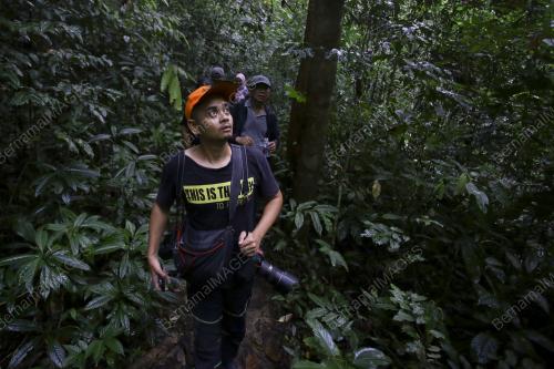 NS02_12082019_SAR_GUNUNG