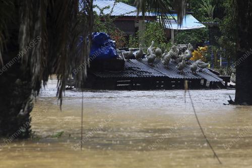 BANJIR KILAT DI KAMPUNG SEGA HILIR, RANTAU