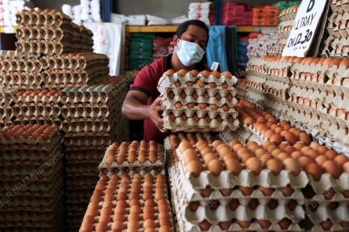 TELUR AYAM