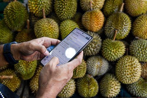 KPDN_DURIAN