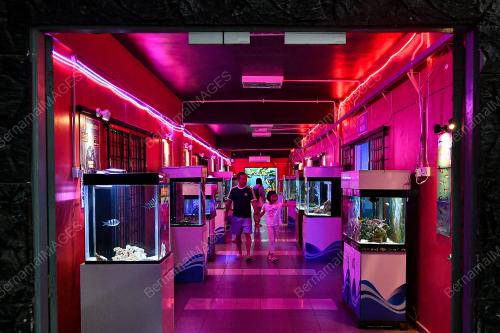 PUSAT IKAN HIASAN PORT DICKSON