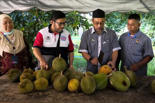 PROGRAM MAKAN DURIAN BERSAMA MEDIA NEGERI SEMBILAN