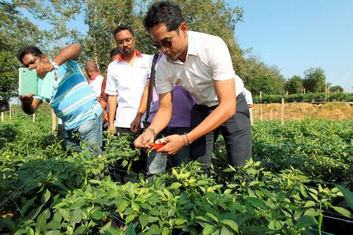NS02_18012015_KHAIRY_LADANG