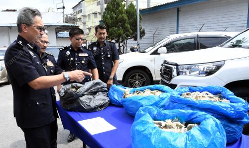 NS02_19072019_PC_POLIS_BN201907185528