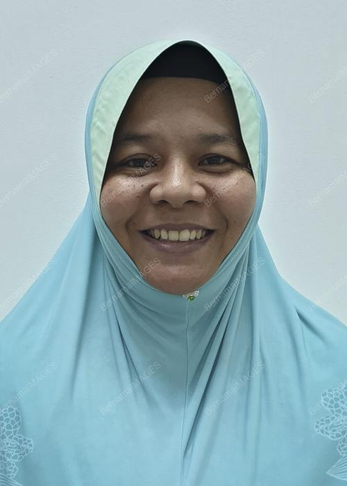 NOOR AZILAH MOHAMAD ALI