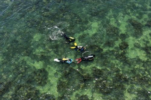 AKTIVITI SELAM SKUBA DAN SNORKELING DI PORT DICKSON