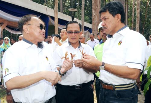 NS02_21032014_HARI_HUTAN