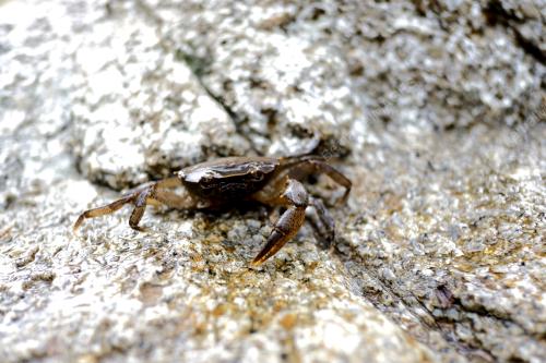 PUSAT REKREASI HUTAN LIPUR ULU BENDUL