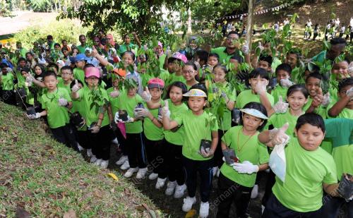 NS02_21072016_GO_GREEN
