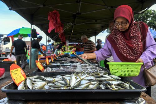 BEKALAN IKAN