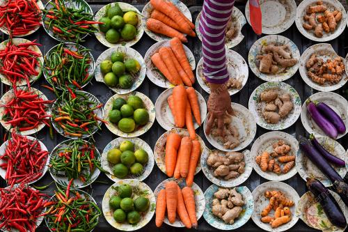 BEKALAN SAYUR