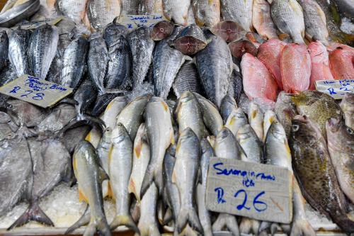 BEKALAN IKAN MUSIM MONSUN TIMUR LAUT