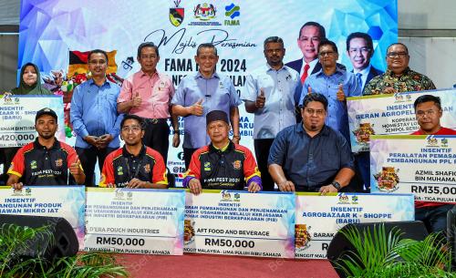 DATUK SERI AMINUDDIN HARUN
