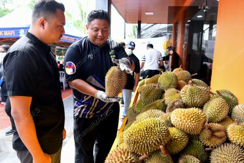 JOM_DURIAN