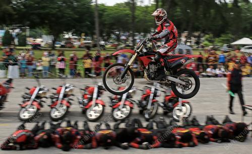 TIM ARMY RED WARRIOR
