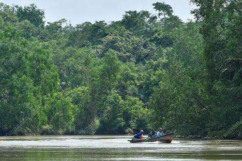 SOPIT BIRU SUNGAI TIMUN