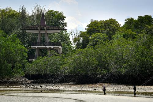 PULAU BURUNG PORT DICKSON