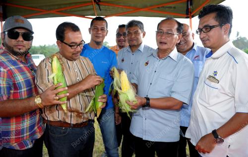 NS02_27022017_JAGUNG