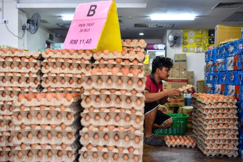 BEKALAN TELUR