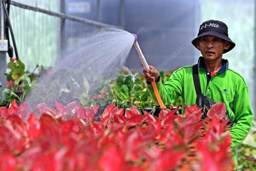 MUSIM CUACA PANAS