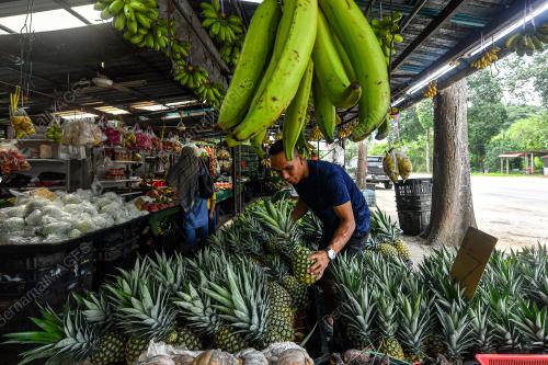 HARI NANAS ANTARABANGSA