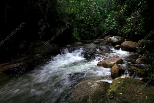 PERHUTANAN HUTAN SIMPAN