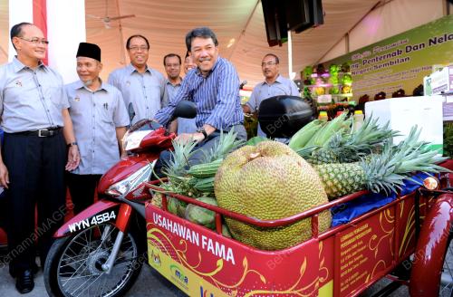 NS02_28022014_HARI_PELADANG