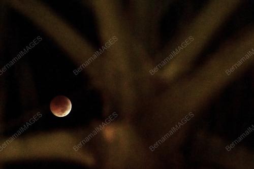 NS02_28072018_GERHANA_BULAN_BN201807193583