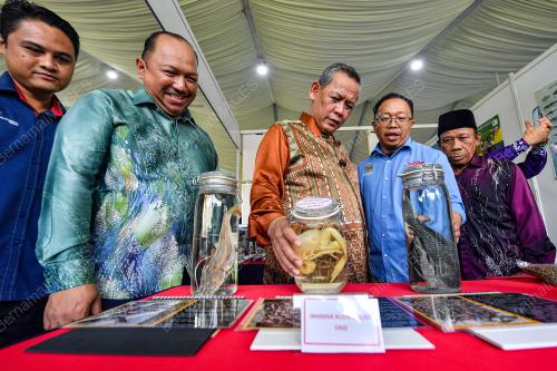DATUK SERI AMINUDDIN HARUN