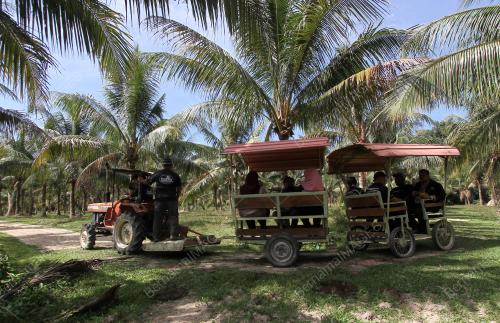 NS02_29012019_NABILA_AGRO