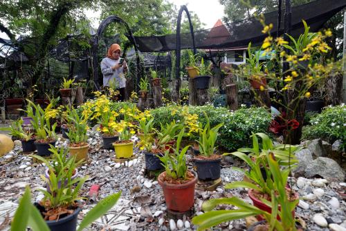 TAMAN ORKID SEREMBAN
