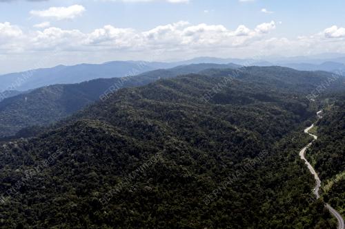 HUTAN HUJAN DI JELEBU