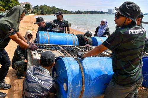 BUAYA DI PANTAI CERMIN