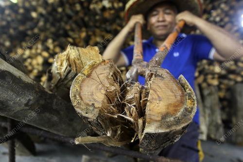 KAYU API BAHAN BAKAR LEMANG