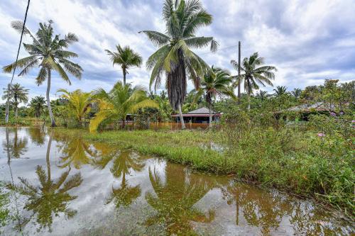 BANJIR DI KAMPUNG SEGENTING