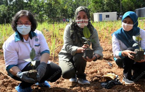DR NORWATI MUHAMAD