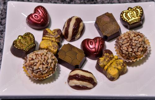 HARI COKLAT SEDUNIA