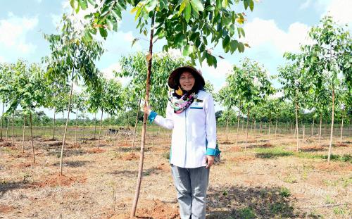 DATUK DR MARZALINA MANSOR