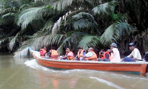 NS03_08022013_SUNGAI_LINGGI