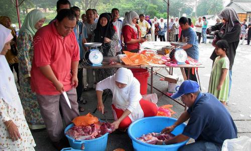 DAGING LEMBU