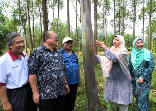 DATUK ZURAIDA KAMARUDDIN