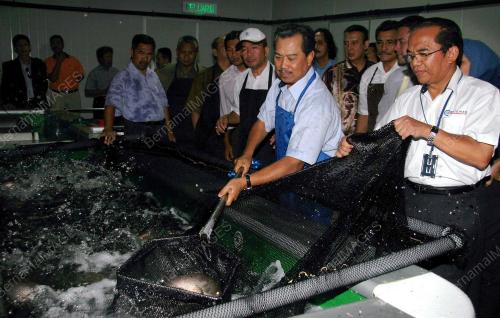 MUHYIDDIN YASSIN