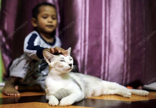 HARI HAIWAN PELIHARAAN SEDUNIA